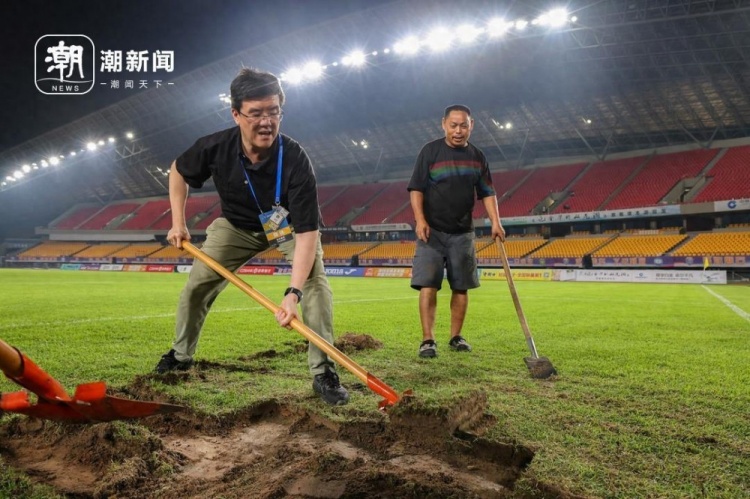 96小时极限修复:金华草坪从受损到国际级的速生档案 96小时极限修复:金华草坪从受损到国际级的速生档案