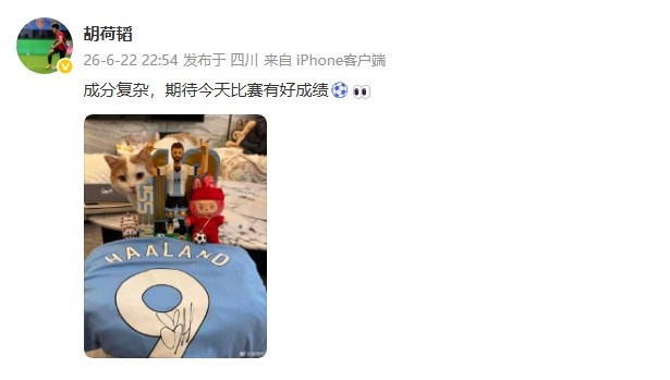 胡荷韬社媒晒梅西乐高与哈兰德球衣 称成分复杂